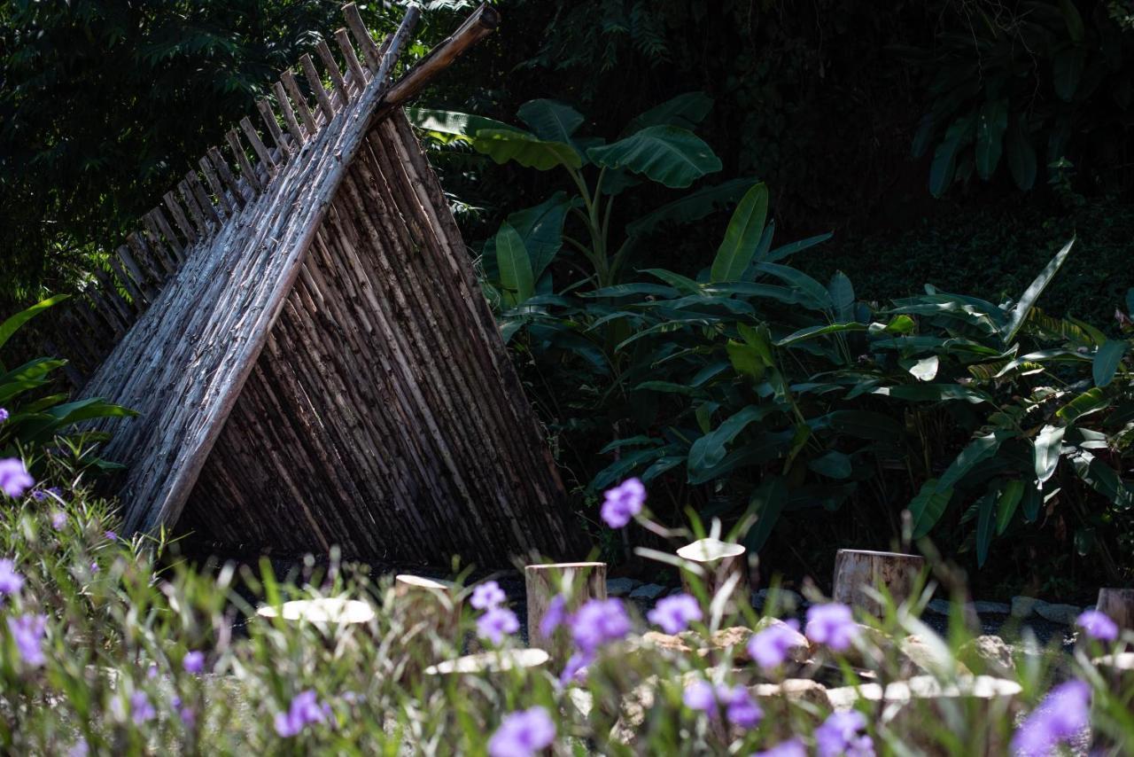 ホテル Roost Glamping - Sha Certified Rawai エクステリア 写真